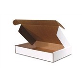18 1/4 x 11 3/8 x 4 1/2" Carrying Case with Plastic Handle